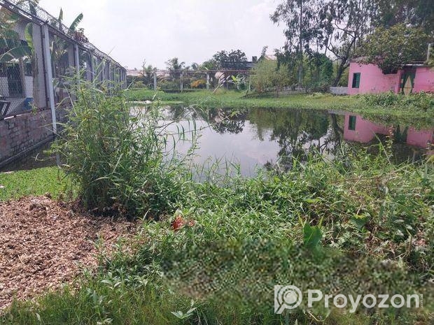 Land For Sell