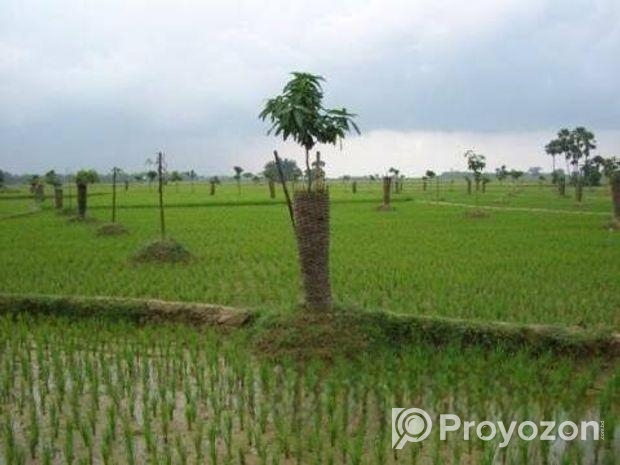 Land Selling