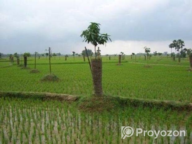 Land Selling
