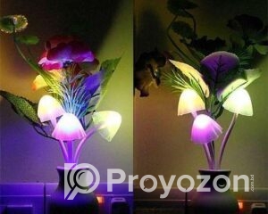 fitted-28_2025-10-11_12-52-48