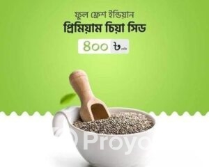 fitted-29_2025-10-11_17-38-09