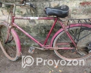 fitted-2_2025-10-12_16-30-55