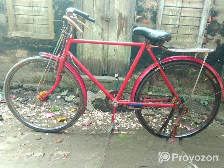Bicycle for sale