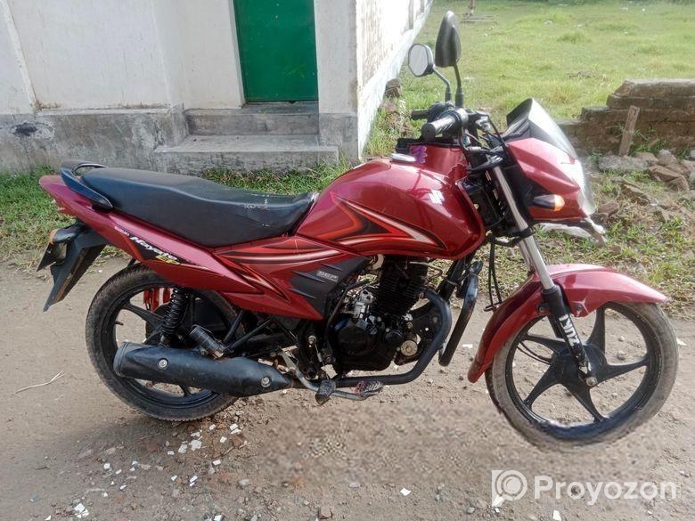 Suzuki Hayate 2020