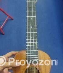 fitted-32_2025-10-04_19-29-43