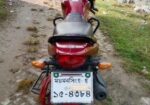 Suzuki Hayate 2020