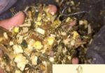ভূট্রার সাইলেজ (Agriijoy Silage)