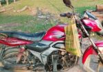 Zaara 100 2025