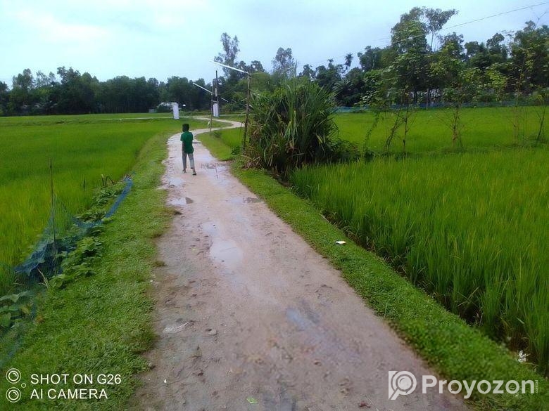 বিস্কুট কোম্পানির পিছনে সুন্দর জায়গা