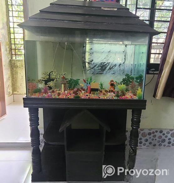 Aquraiaum For Sell