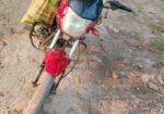 Zaara 100 2025