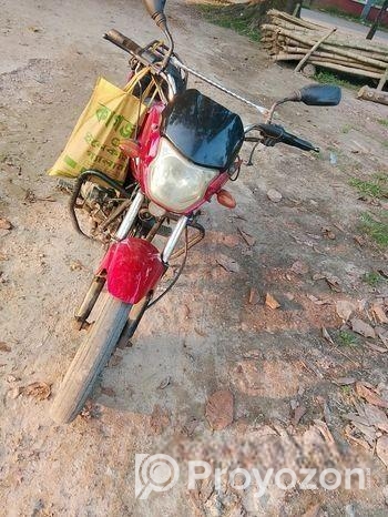 Zaara 100 2025
