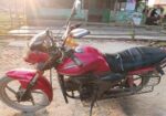 Zaara 100 2025