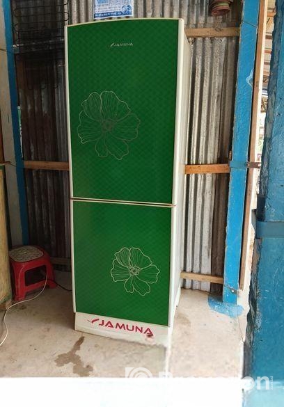 Jamuna Fridge