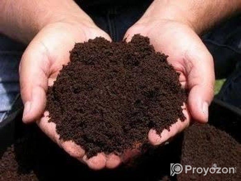 ভার্মিকম্পোস্ট / জৈব সার