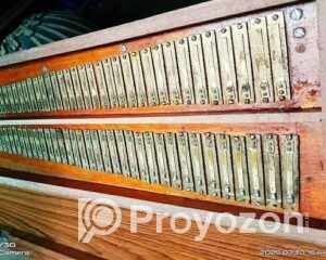 fitted-43_2025-10-01_11-22-49