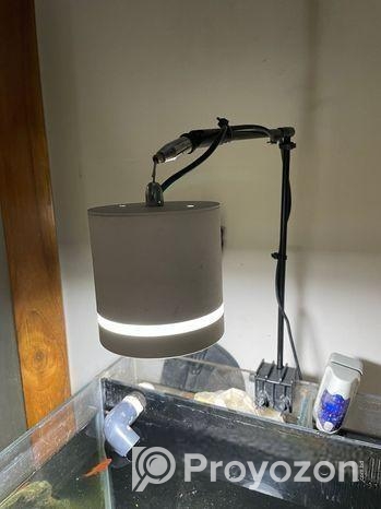 Aquarium With Stand