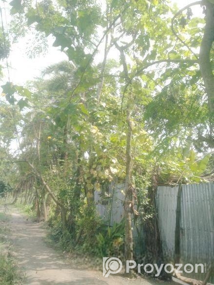 Land For Sell