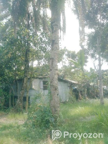 Land For Sell