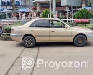 fitted-47_2025-10-27_18-45-15