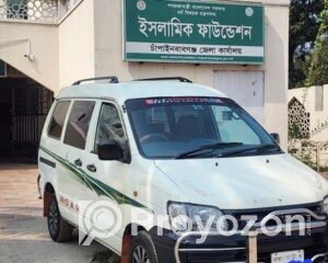 fitted-48_2025-10-29_12-06-20