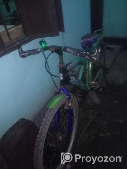 Cycle Sale