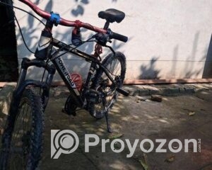 fitted-4_2025-10-13_10-08-12