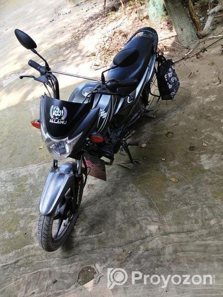 Suzuki Hayate . 2020