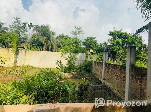জরুরি জমি বিক্রয় –৬ শতক , মাইজঘুনা, শাহারবিল, চাকরিয়া, কক্সবাজা