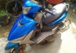 Beetle Bolt Endura good 2021
