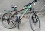 Phoenix cycle