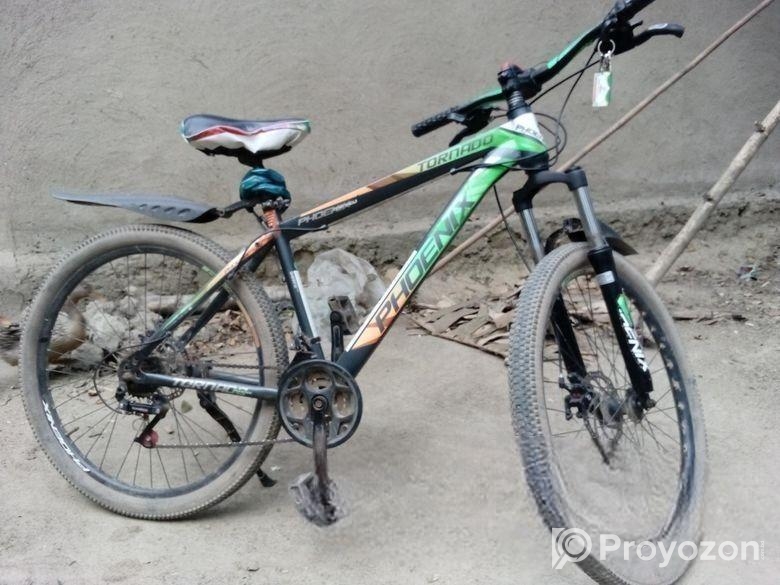 Phoenix cycle