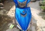 Beetle Bolt Endura good 2021