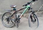 Phoenix cycle