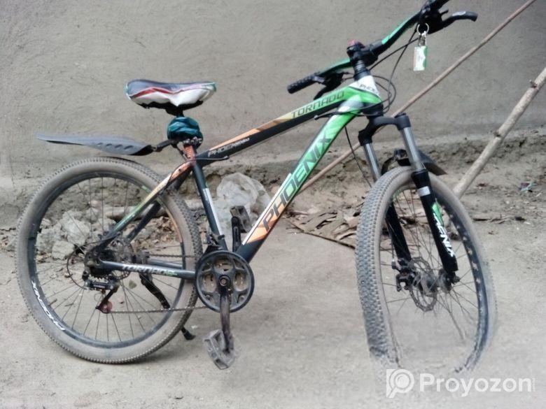 Phoenix cycle