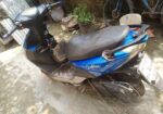 Beetle Bolt Endura good 2021