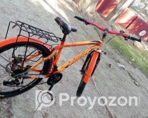 fitted-5_2025-10-30_09-32-12