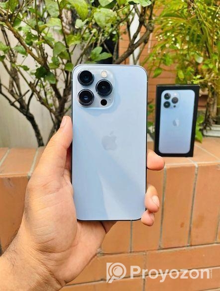 Apple iPhone 13 Pro Max (Used)