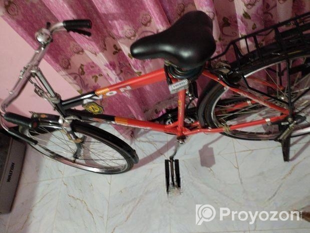 Indan avon cycle