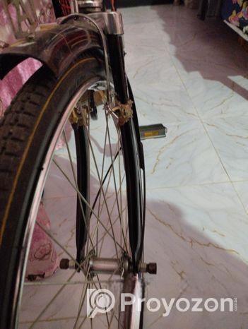 Indan avon cycle