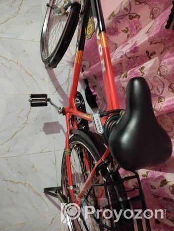 Indan avon cycle