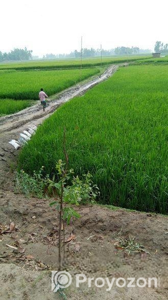 Land For Sell