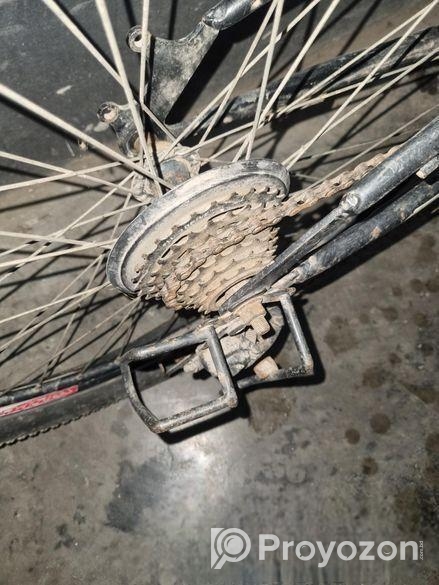 Cycle for sale