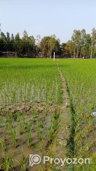 Land For Sell