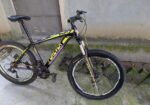 Forever new condition sycle