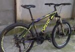 Forever new condition sycle