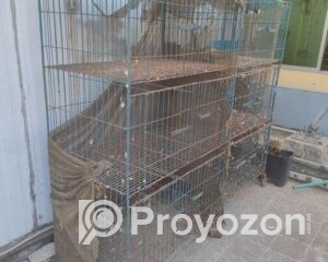 fitted-6_2025-10-01_10-07-31