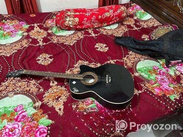 Signature Guitar