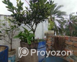 fitted-79_2025-10-06_11-31-54