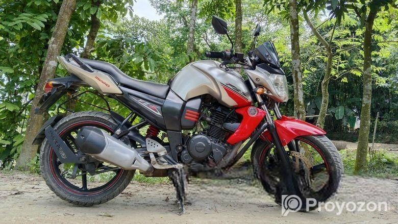 Yamaha FZS . 2010
